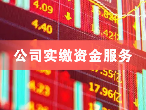 河津公司实缴资金服务