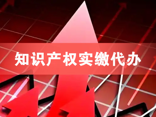 河津知识产权实缴资本代办
